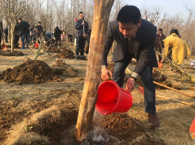 又是一年春好處，植樹造林正當(dāng)時(shí)——市文旅集團(tuán)組織開展2019年義務(wù)植樹活動(dòng)(圖3)