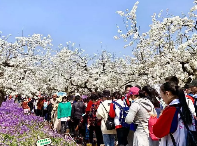 持之以恒規(guī)范旅游市場秩序，堅定不移維護良好旅游形象(圖3)